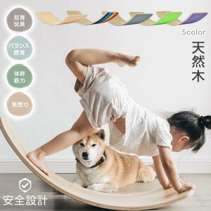 ؐoX{[h ̊g[jOp K{[h yʐ݌v ۊpSH mߋƂĂœK ql܂Ŏg V ^ VvfUCŐlC̃oX