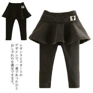 LbY ̎q XJbc N  MXt XJ[g H~ 10 q Xpbc K[Y ۉ g Y{ Lk h pc   O[  80 90 100 110 120 130 