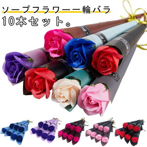  o 10{Zbg \[vt[ 1 { 1{ ԑ o ͂Ȃ Mtg v[g hV̓ hV̓Mtg 2025 a Ӊ ސE  j ii p[eB[ Cxg 