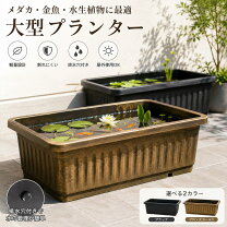 楽天市場】水生植物 プランター 鉢の通販