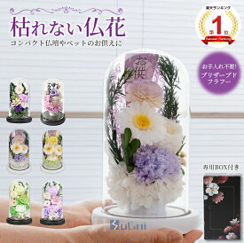 【楽天1位】仏花 プリザーブドフラワーお供え花 おしゃれ 生花 led付 お悔やみ お供え ドーム仏花 枯れない花 お供え物 ローズ ガラスドーム アレンジメント お盆 旧盆 法事 1周忌 仏事 お彼岸 お仏壇用 初盆 三回忌 七回忌 ペットのお供え