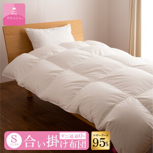 yz|[hzCg}U[O[X_E95% |ӂƂ (STCY 150cm×210cm) Hѕzc |zc TCY HтӂƂ VO { H |zc | zCg n 