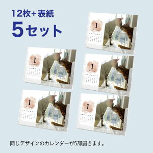 J_[2026N ʐ^J_[ IWiJ_[ RҏW ʐ^Abv邾 1߂i13ԁj B6TCY 7ނ̃ev[gIׂ  ybg qǂ 킢 v