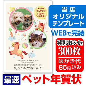 ybgN ʐ^N 300 RҏW N͂ Nʕt N󂶂܂V[t Iׂ閇 olR 킢 2026N  n ߔN yybgNz