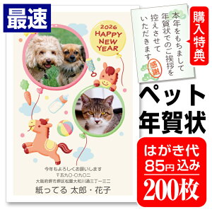 ő ybgN ʐ^N 200 RҏW N͂ Nʕt N󂶂܂V[t Iׂ閇 olR 킢 2026N  n ߔN yybgNz