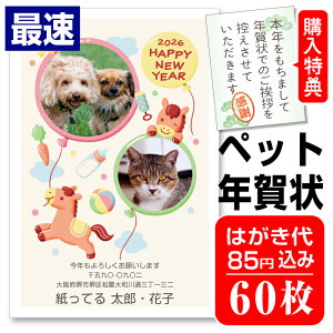 ő ybgN ʐ^N 60 RҏW N͂ Nʕt N󂶂܂V[t Iׂ閇 olR 킢 2026N  n ߔN yybgNz