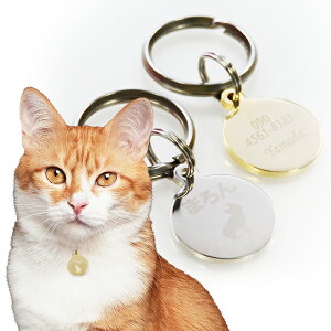 A^CLO1ʁI yyzqD L q h~  ۏ^ O A 󂵂܂ Lbg^O ybg^O l[^O ߑOő SǐՃ[ցyxƓz 