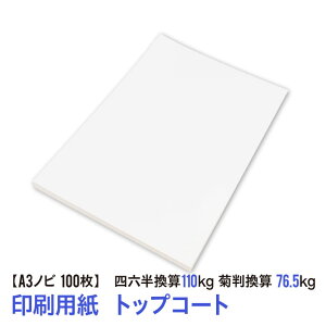 p͂̃gbvR[gIA3mr p R[g 100ilZZ110kgEeZ76.5kgEؗ127.9g/m2j
