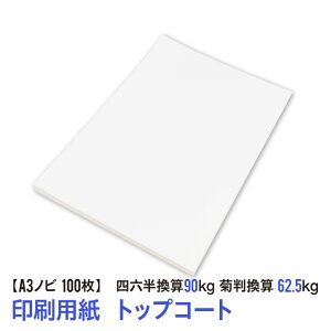 p͂̃gbvR[gIA3mr p R[g 100ilZZ90kgEeZ62.5kgEؗ104.7g/m2j