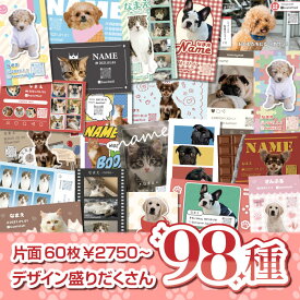 ペット名刺 校正無料 写真切抜無料 レビュー最多 豊富な実績 大好きなペットの写真を入れることができます 多頭対応OKうちの子名刺 送料無料