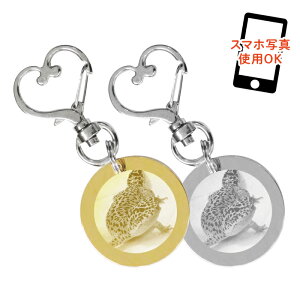 L[z_[ LO I[_[Ch j ঒ ybg ʐ^ 2Zbg IWi ^ n[g^tbN L[`[ ʐ^  v[g 킢 Ȃ 