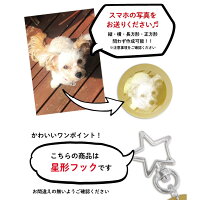 スマホの写真を送ってください