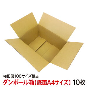 _{[  A4TCY 10Zbg iԁFA4H i{[ 10Zbg n 100TCY  z ސ ו Ntg  p i{[