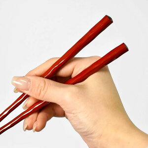 zO H@Ή Ŕ  (22cm/23.5cm) zO zOh { H@Ή h H@Ή Ȃ Y ؐ  j v[g 