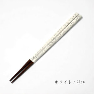 WAKASA21 _i21cm/23cmj o ISSOU ዷ   h ዷh  Mtg v[g El j a  LO  { CO japan