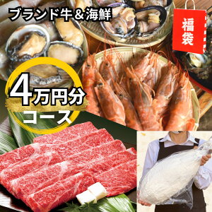 H̕ ĂCNlߍ킹4~R[Xiuhjyz40000~ 蕨 v[g j  kC ⓀHi ē Ԃԗp Ԑg~ a