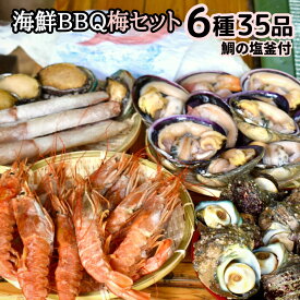特選海鮮バーベキューセット6種35品「梅コース」（特大BBQ用鯛の塩釜付き…大アサリ カキ サザエ アワビ 赤エビ）海の幸盛り合わせ！浜焼き贅沢コース 魚介詰め合わせ プレゼント ギフト 贈り物 送料無料 熨斗対応 お誕生日 お祝