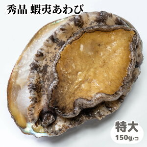kt ڈ΂ 1i150gEϔECASⓀjMtg{bNX RY G]Ar  CNo[xL[ hg H Hp H v[g 蕨   