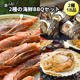 ★2つで1000円オフ★選べる海鮮BBQセット・2種コース（特大赤えび or サザエ or 大アサリ) 魚介バーベキュー 海の幸 浜焼き盛り合わせ 詰め合わせ 送料無料 贈り物 ギフト 冷凍 お取り寄せグルメ