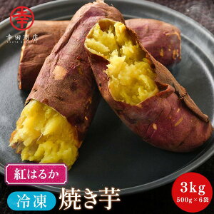 y9/1 Si|Cg5{zys[^[oz [ׂɂ͂邩ⓀĂ500g×6] KcX yN[ցz ⓀĂ ׂɂ͂邩 g͂邩 ⓀĂ ׂɂ͂邩 g͂邩 Ă Ĉ Ⓚ 