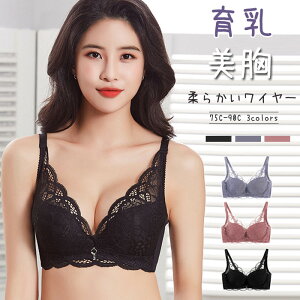 �u���W���[ ��� �J�V���N�[�����[�X �e���u�� �P�i�u���W���[ ���� ���� �u�� �u���W���[ �J�� �琬 �e�� �e�� �u�� �Z�N�V�[ �����[�X �ɂ��Ȃ� ���� ���f�B�[�X ����u�� �����ɂイ�Ԃ� 