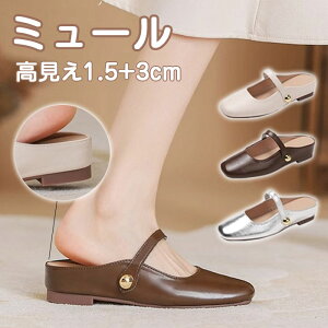 pvX T_ fB[X EhgD ~[T_ [q[ ₷  s Ȃ {v  ߃q[ ʋ  ₷ ɂ _炩 傫TCY 