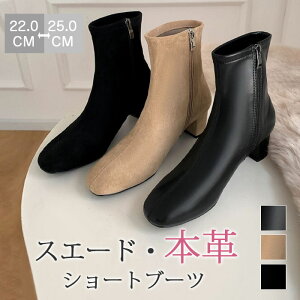 u[c V[gu[c XNGAgD fB[X Ou[c {v V[Y [q[ ₷ Ȃ y H~ t 傫TCY ɂ l i 5cm XG[h