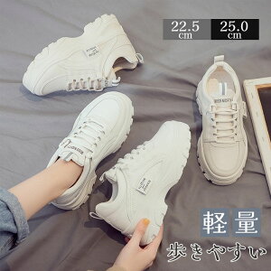  Xj[J[ fB[X  t H Xj[J[ y nCJbg bV V[Y Xj[J[ EH[LOV[Y ^C ̈  ʋC Ȃ  킢 lC C 