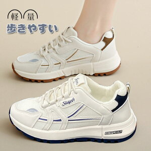  Xj[J[ fB[X  t H Xj[J[ y nCJbg bV V[Y Xj[J[ EH[LOV[Y ^C ̈  ʋC Ȃ  킢 lC C 