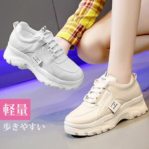  Xj[J[ fB[X  t H Xj[J[ y nCJbg bV V[Y Xj[J[ EH[LOV[Y ^C ̈  ʋC Ȃ  킢 lC C 