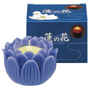 }GX@@̉ԁ@p[v@@XyA@[\N@l\