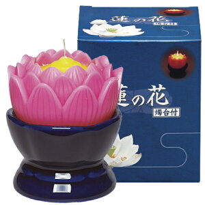 }GX@@̉ԁ@sN@@t@@[\N@l\