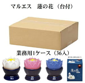 }GX@@̉ԁ@zCg@sN@p[v@@t@@[\N@l\@1P[Xi36j@Ɩp