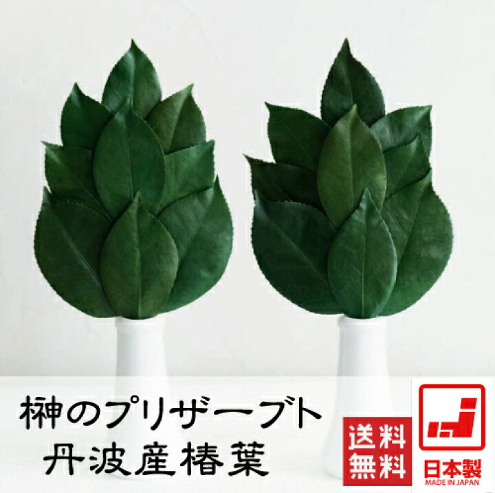 楽天市場 榊 プレミアムタイプ ｓサイズ 仏花 プリザーブドフラワー プリザーブドフラワー 枯れない 水不要 神様 仏壇 お供え 神棚 造花 ブリザーブド 香とランプの館
