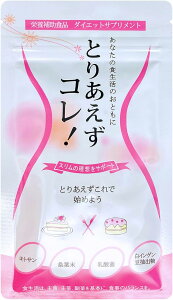 Ƃ肠RI J[Jbg Tv _CGbg o[Wp K̗t 񂰂 LgT G _