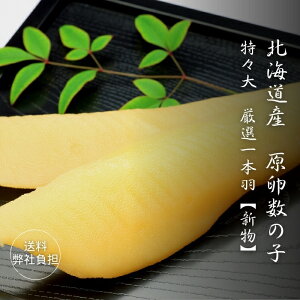 aHi@ykCYz̎qij@X@ŏ㋉i