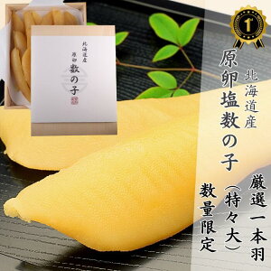 aHi@ykCYz̎qij@X@ŏ㋉i