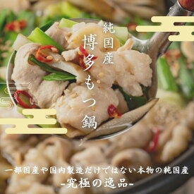 工場直送　興和食品　【純国産博多もつ鍋セット　4~5人前】　博多名物　博多土産　絶品　お取り寄せグルメ　福岡　おふくろさん