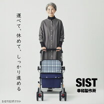 楽天市場】幸和 テイコブ ボクスト sist02 ネイビーの通販