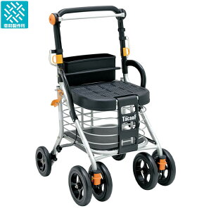 �K�a���쏊 �e�C�R�u�{���T WS01 �V���o�[�J�[ �X�^���_�[�h�^�C�v