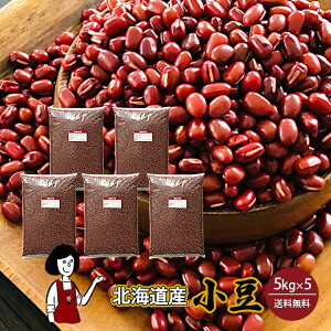 kCY  5kg ^ ߘa6NY 2024NY z  `bNt V    킯