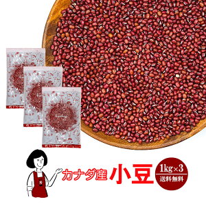 Ji_Y  1kg ^ 2023NY  `bNt    킯