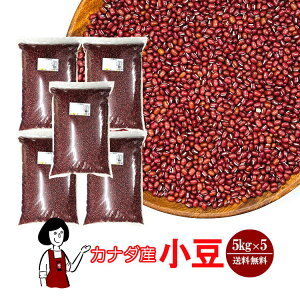 Ji_Y  5kg ^ 2023NY  `bNt    킯