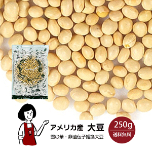 AJY哤 250g ^ `bNt 哤 CfBAiY ڑ哤 oGeB[哤 ̉ `qg  킯