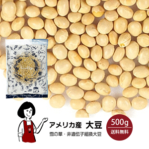 AJY哤 500g ^  `bNt 哤 CfBAiY ڑ哤 oGeB[哤 ̉ `qg  킯