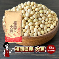 楽天市場】大豆 30kg 里のほほえみの通販