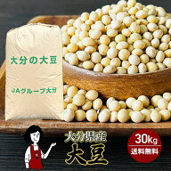大分県産大豆《特定加工用大豆合格・小粒》30kg ／送料無料 令和6年産 大豆 ちくしB5号 食物繊維 機能性…