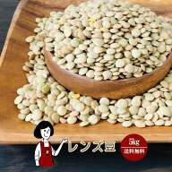 レンズ豆〔チャック付〕5kg ／送料無料 チャック付 カナダ産 ヒラマメ 乾燥豆 こわけや