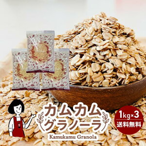 JJOm[ 500gE1kgE1kg×3 ^  `bNt Y T I[g~[ VvH [Og gbsO _CGbg  킯