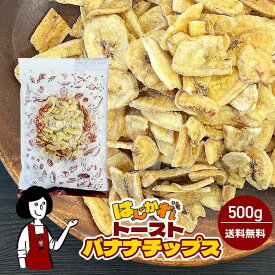 《はじかれ》トーストバナナチップス 500g／B品 チャック付袋 送料無料 訳あり 不揃い お得用 チャック付き トーストタイプ 香ばしい サクサク 食感 油控えめ バナナチップス おやつ こわけや